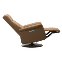 Mike Recliner w/ Wood Base